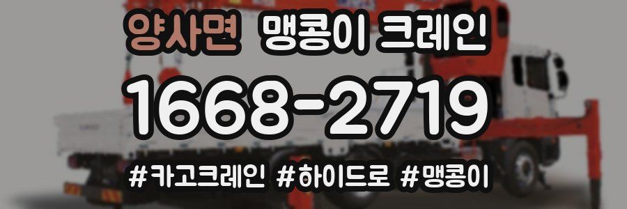 양사면 맹콩이 크레인