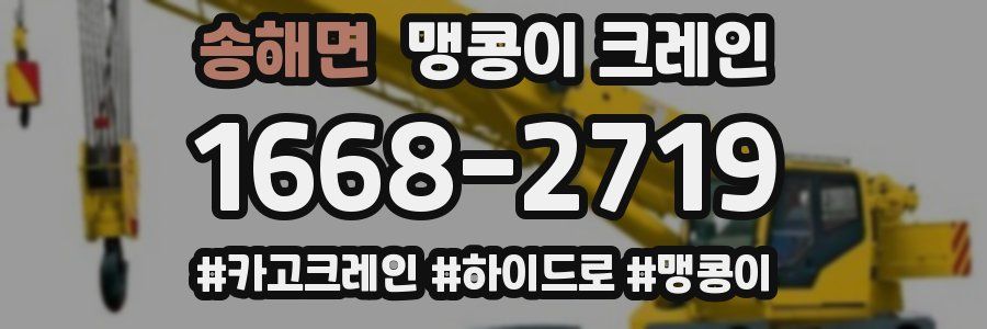 송해면 맹콩이 크레인