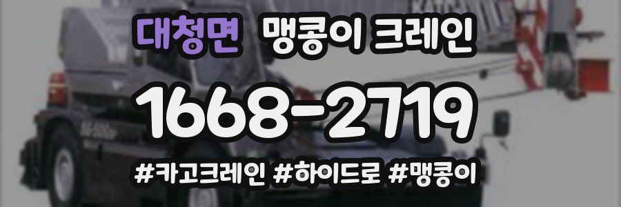 대청면 맹콩이 크레인