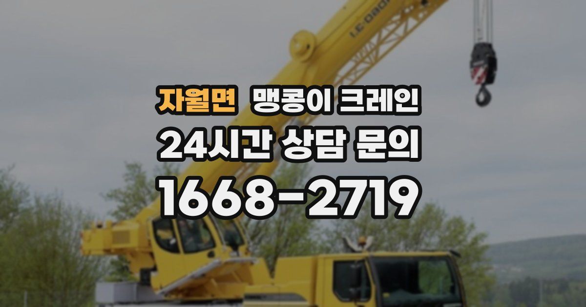 자월면 맹콩이 크레인