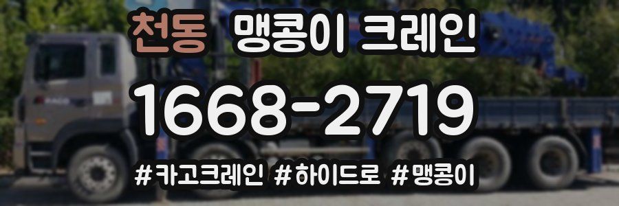 천동 맹콩이 크레인