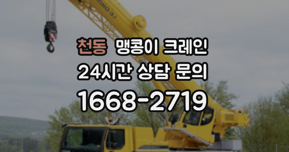 천동 맹콩이 크레인