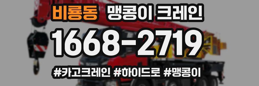 비룡동 맹콩이 크레인