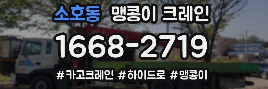 소호동 맹콩이 크레인