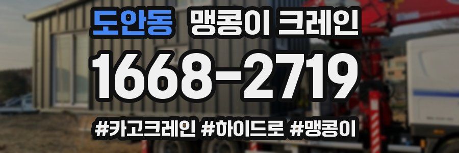 도안동 맹콩이 크레인
