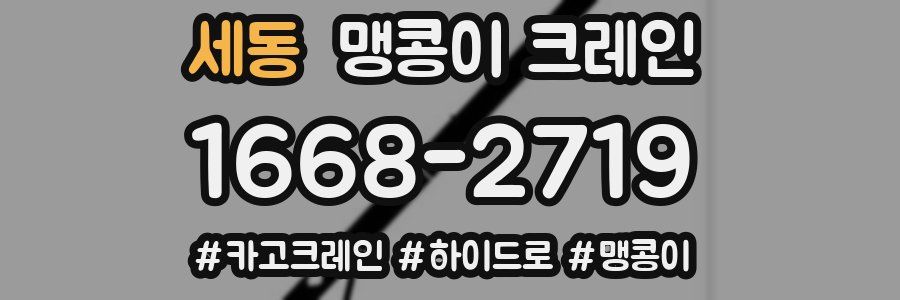 세동 맹콩이 크레인