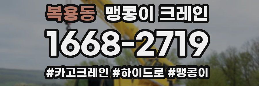 복용동 맹콩이 크레인