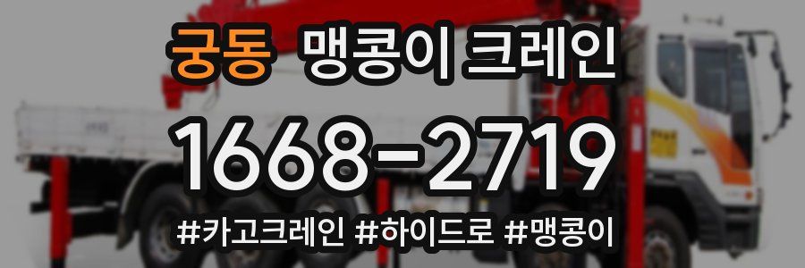 궁동 맹콩이 크레인