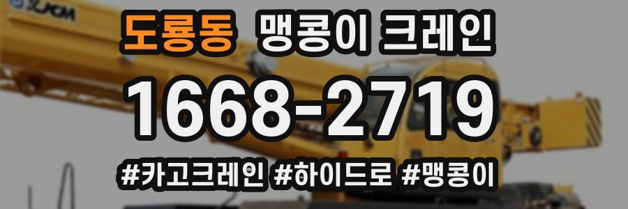 도룡동 맹콩이 크레인