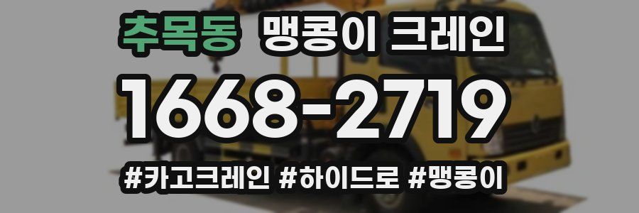 추목동 맹콩이 크레인