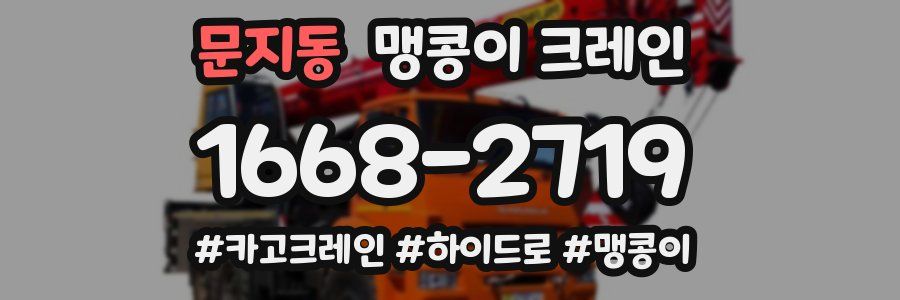 문지동 맹콩이 크레인