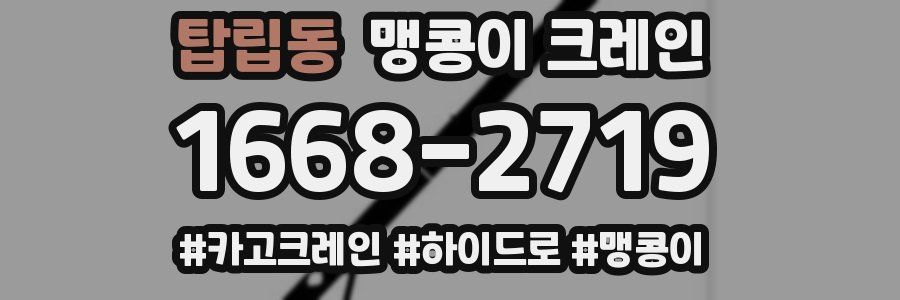 탑립동 맹콩이 크레인