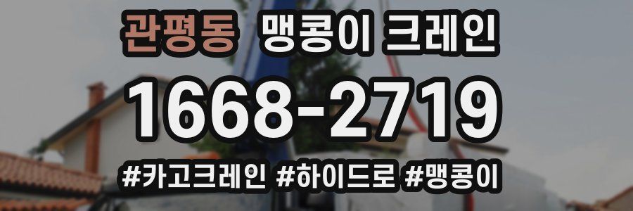 관평동 맹콩이 크레인