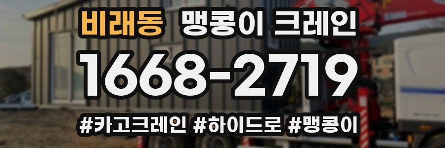 비래동 맹콩이 크레인