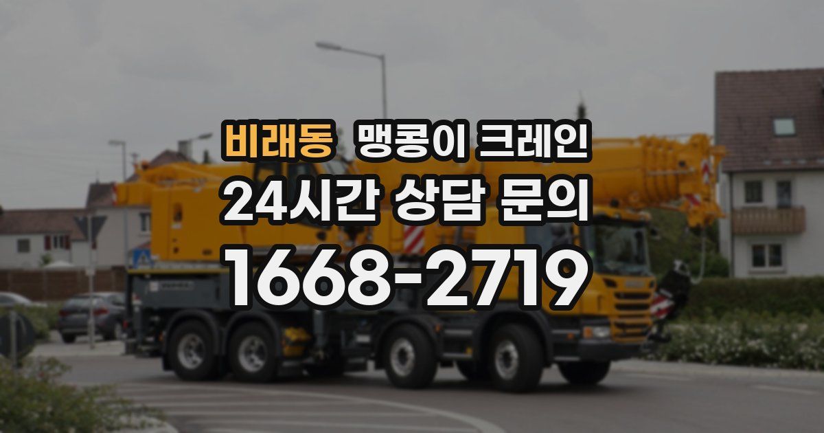 비래동 맹콩이 크레인