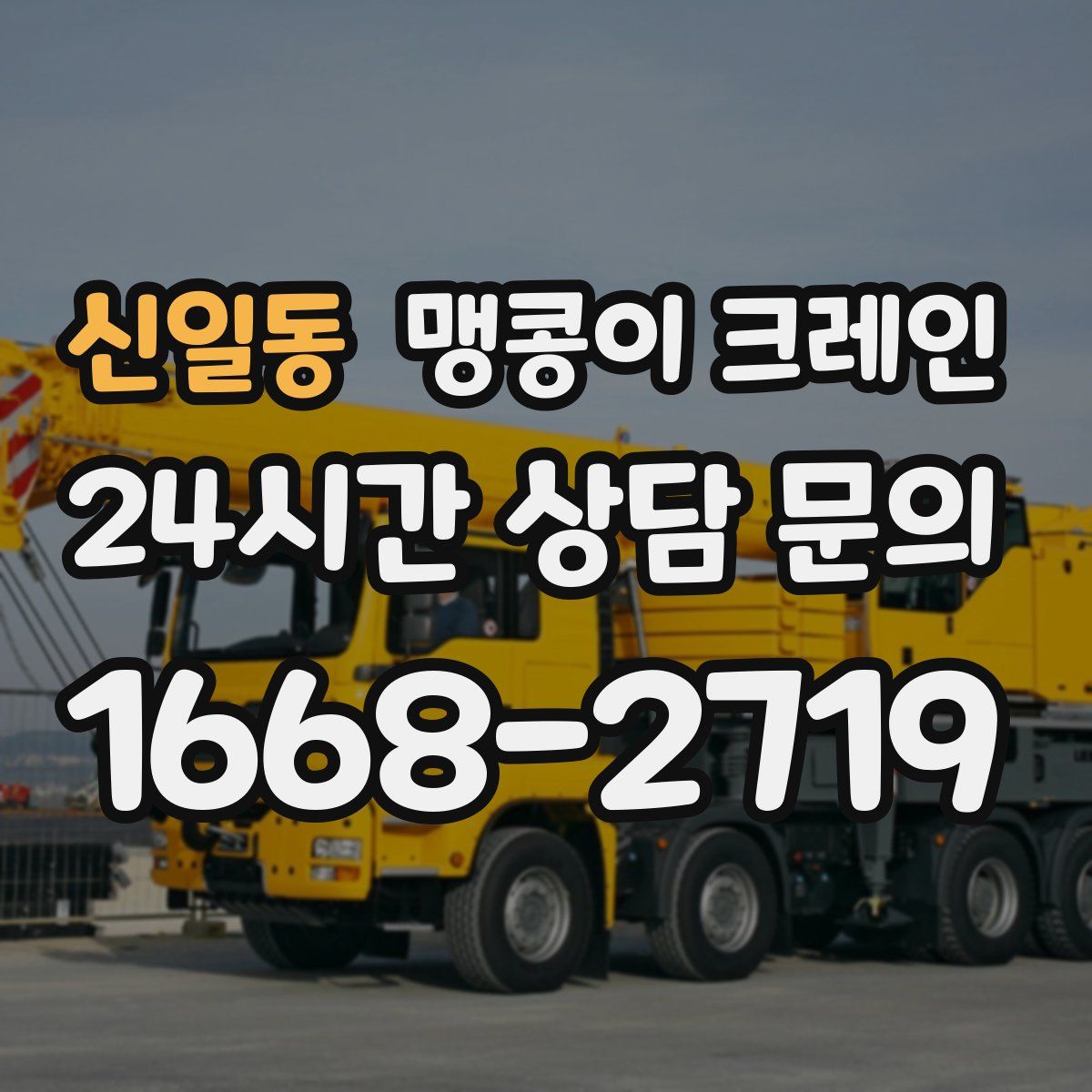 신일동 맹콩이 크레인