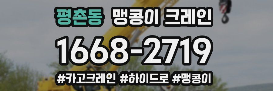 평촌동 맹콩이 크레인