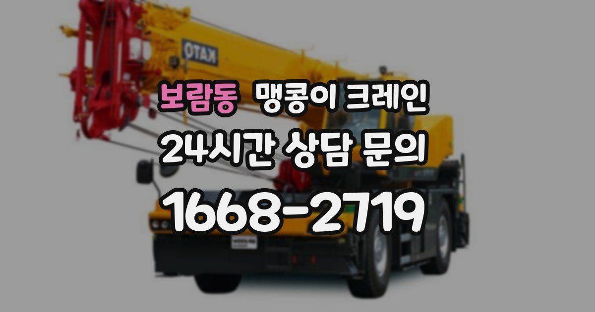 보람동 맹콩이 크레인