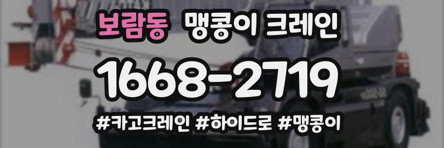 보람동 맹콩이 크레인