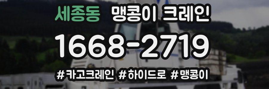 세종동 맹콩이 크레인