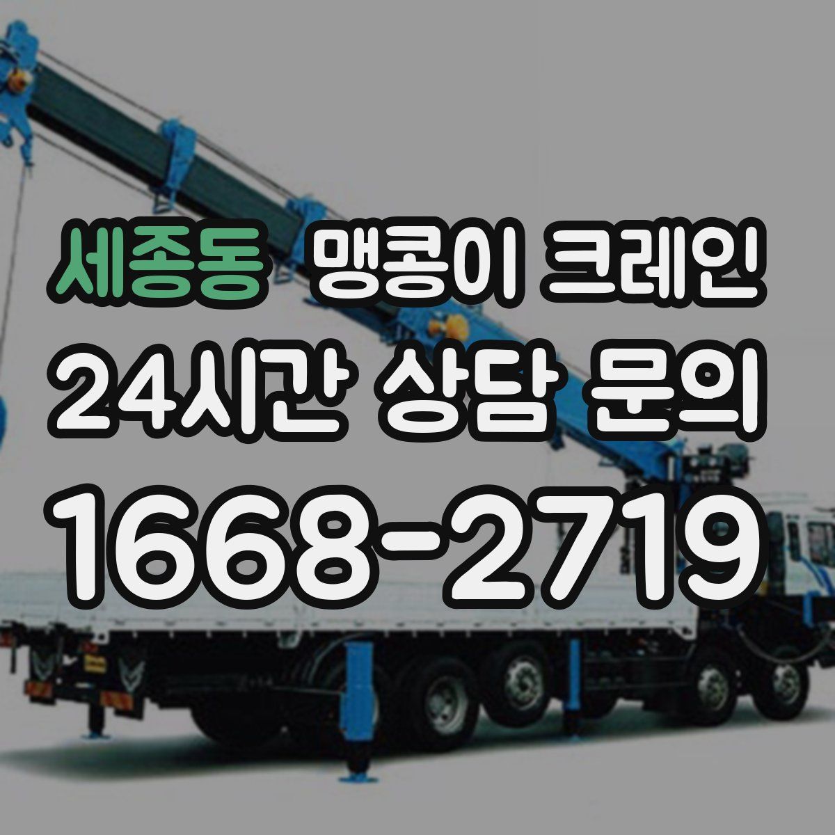 세종동 맹콩이 크레인