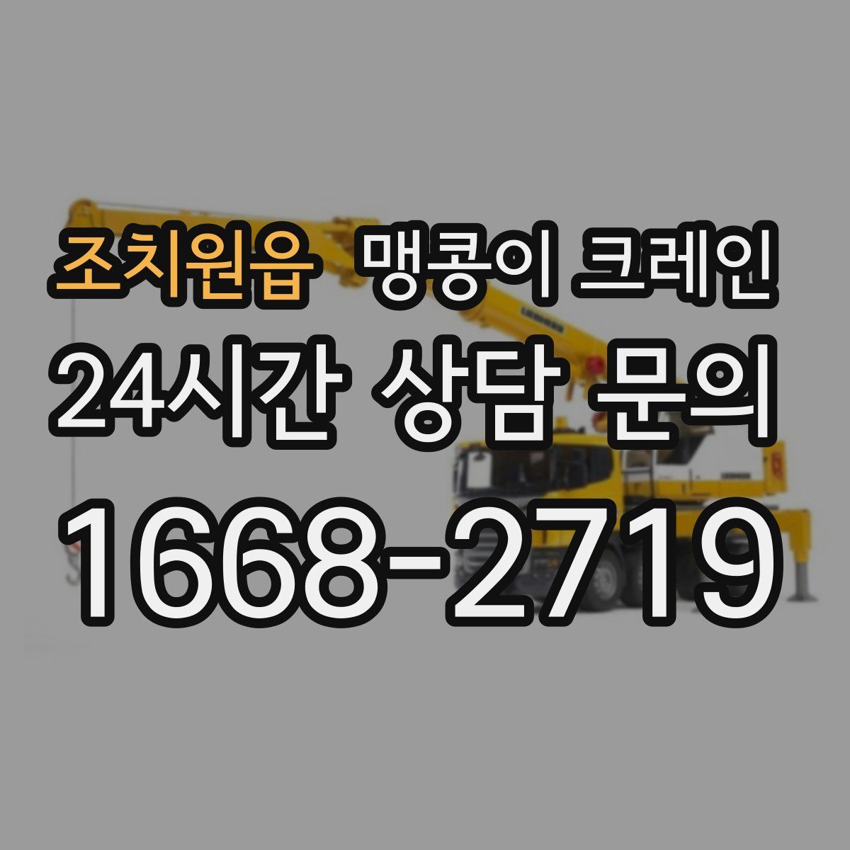 조치원읍 맹콩이 크레인