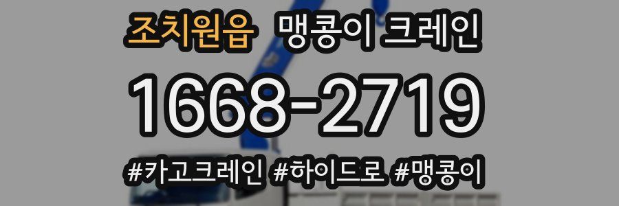 조치원읍 맹콩이 크레인