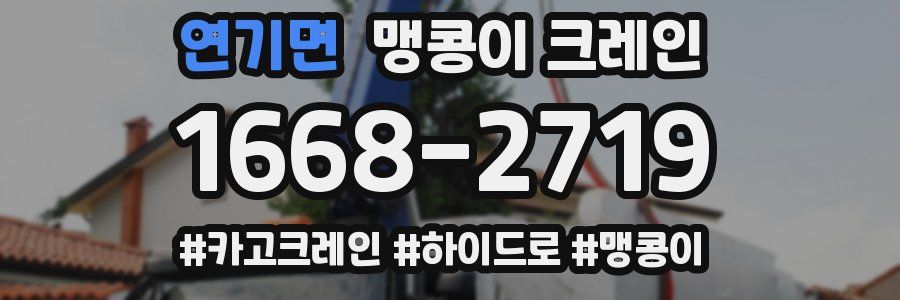 연기면 맹콩이 크레인