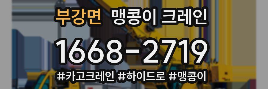 부강면 맹콩이 크레인