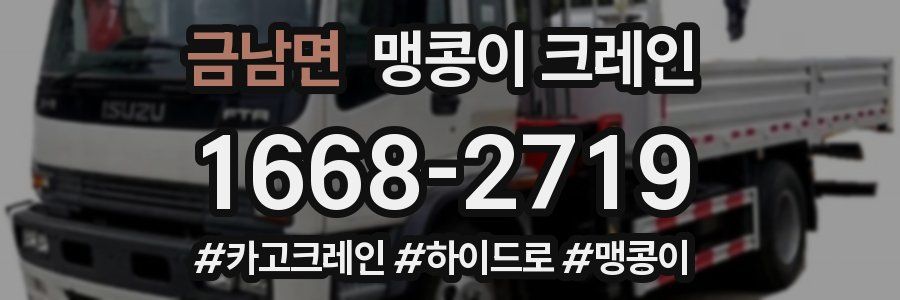 금남면 맹콩이 크레인