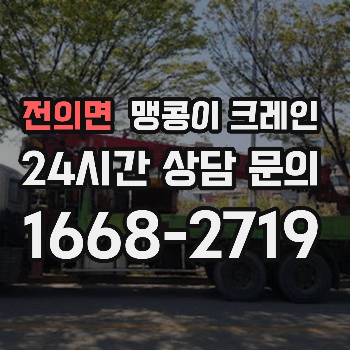 전의면 맹콩이 크레인