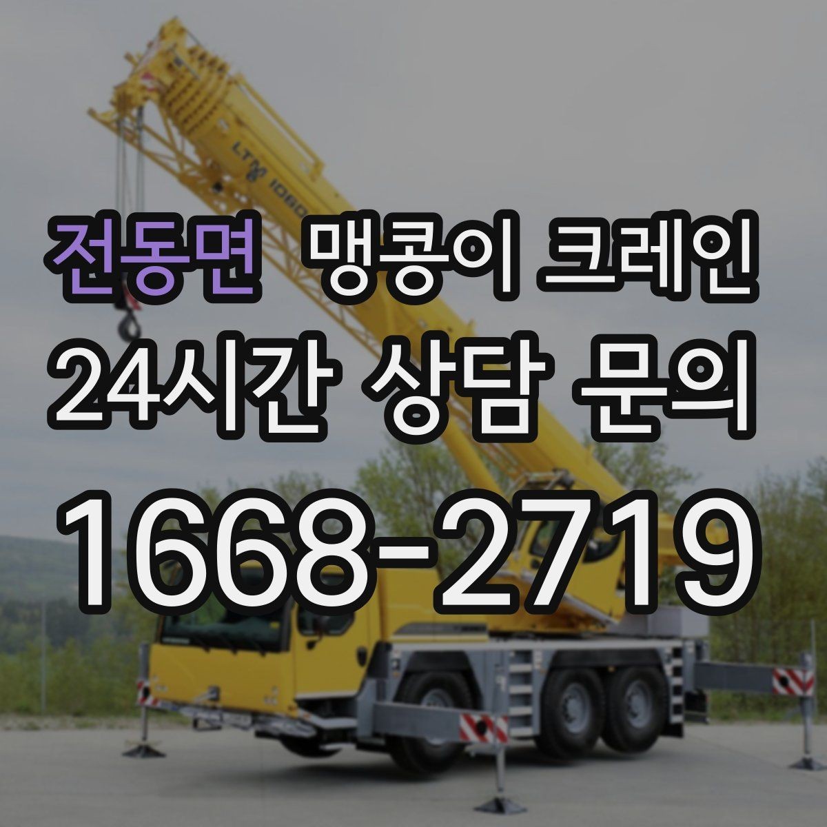 전동면 맹콩이 크레인 냉동·냉장 장비 반입 시 주의할 점