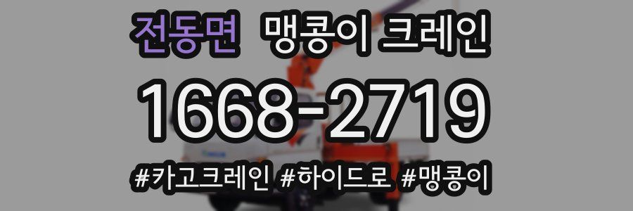 전동면 맹콩이 크레인