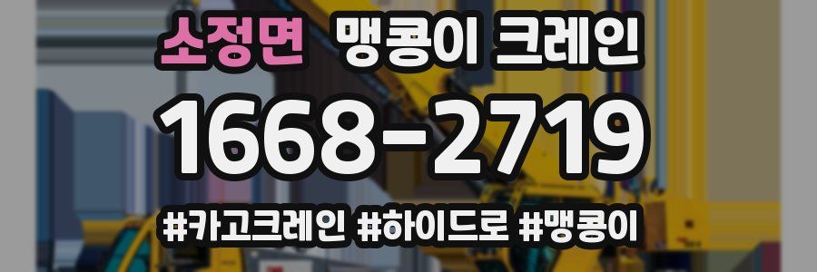 소정면 맹콩이 크레인