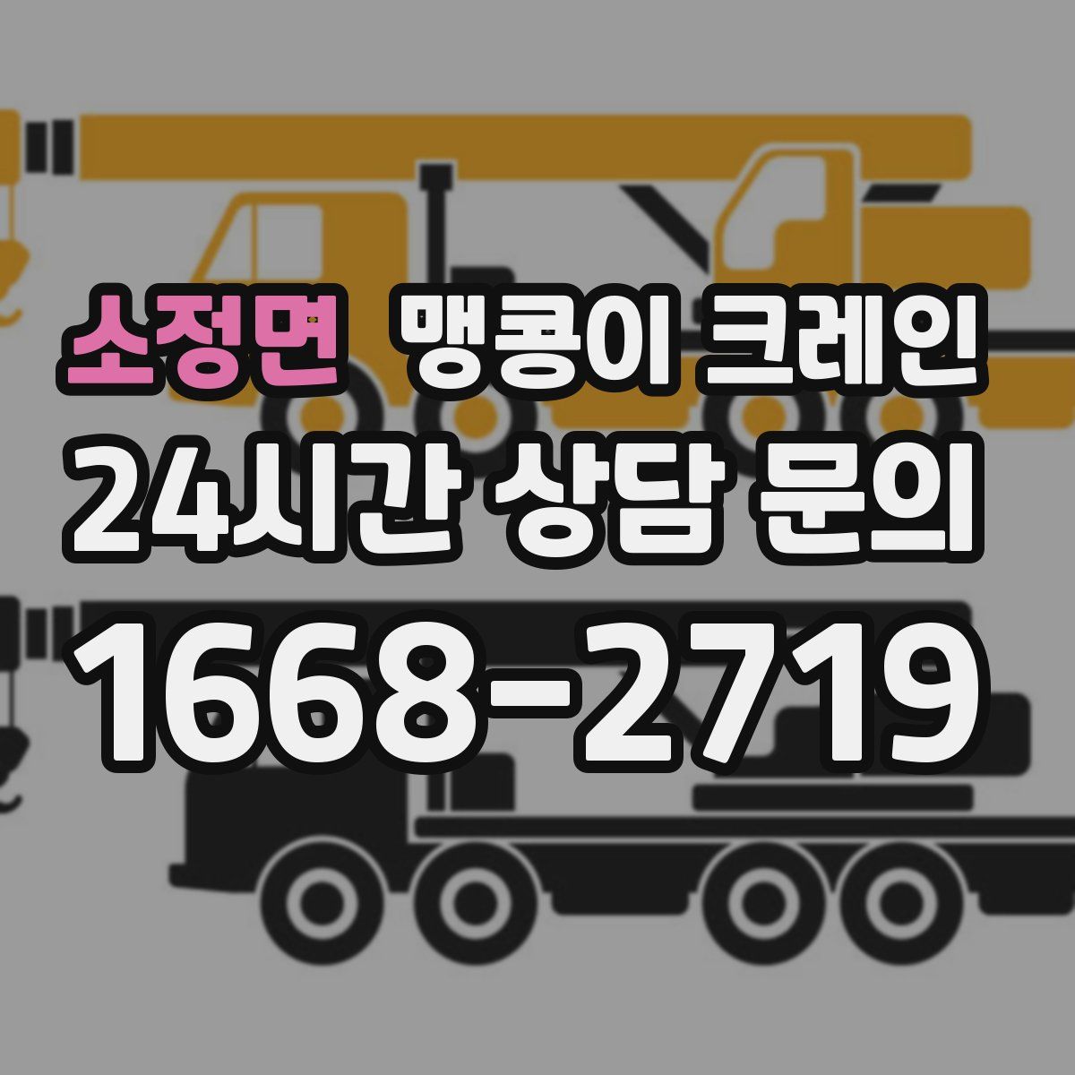 소정면 맹콩이 크레인