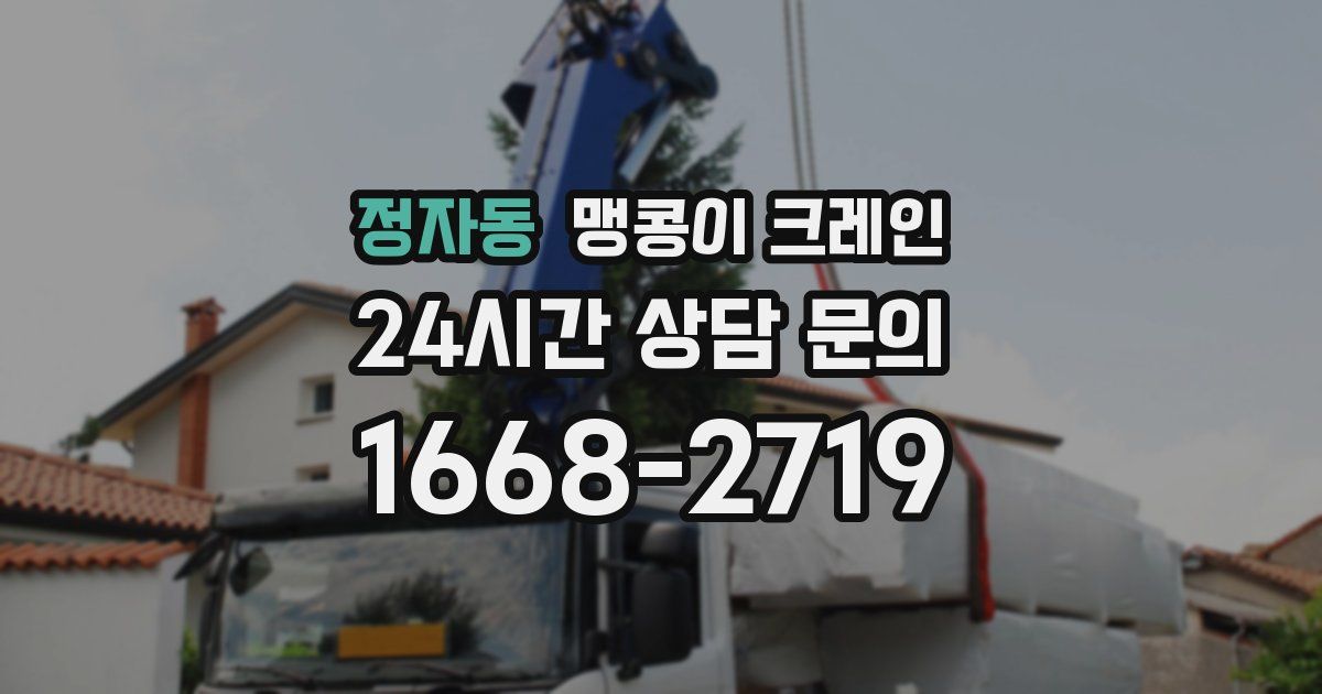 정자동 맹콩이 크레인