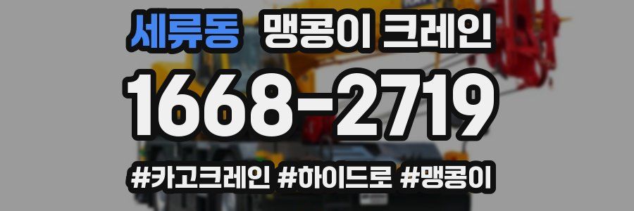 세류동 맹콩이 크레인