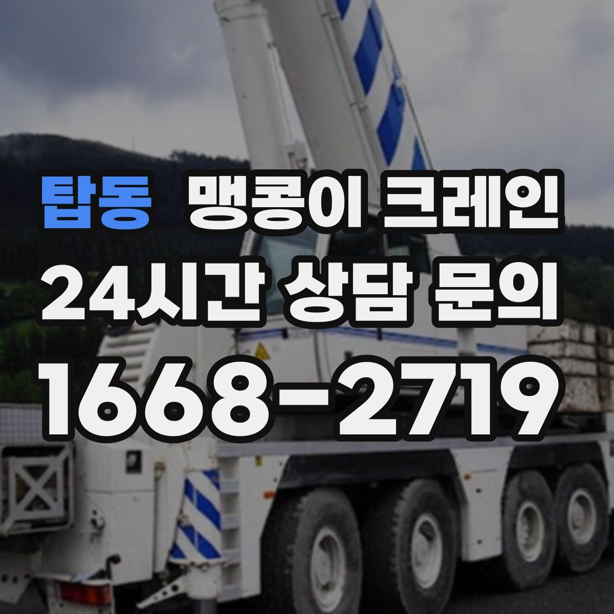 탑동 맹콩이 크레인