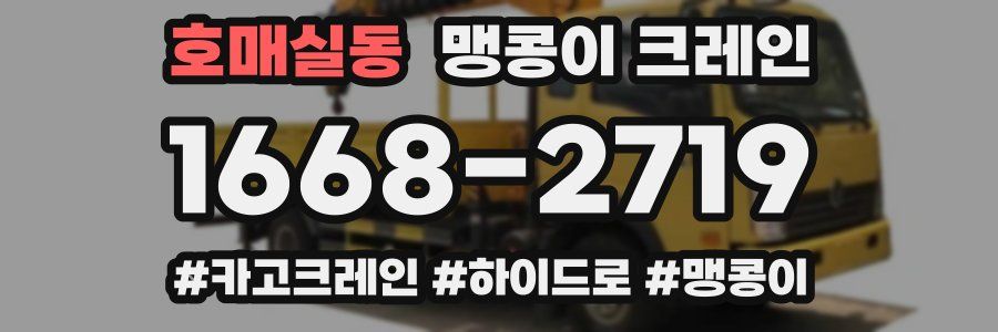 호매실동 맹콩이 크레인