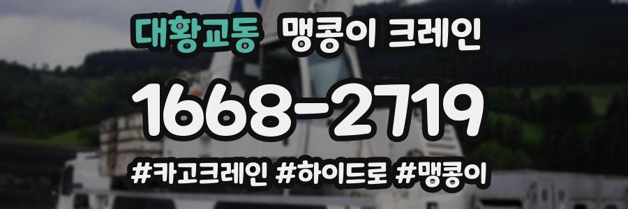 대황교동 맹콩이 크레인