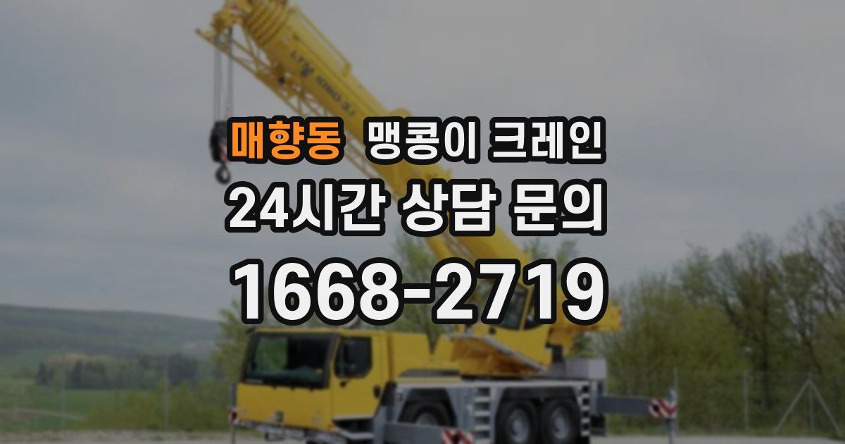 매향동 맹콩이 크레인