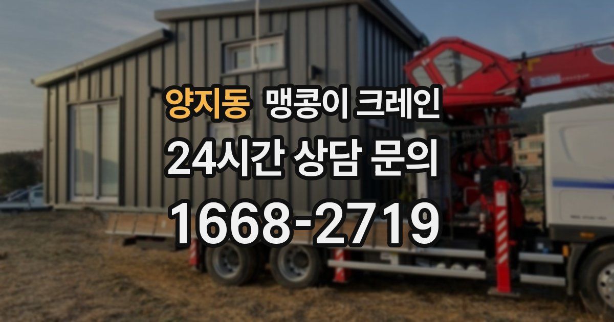 양지동 맹콩이 크레인