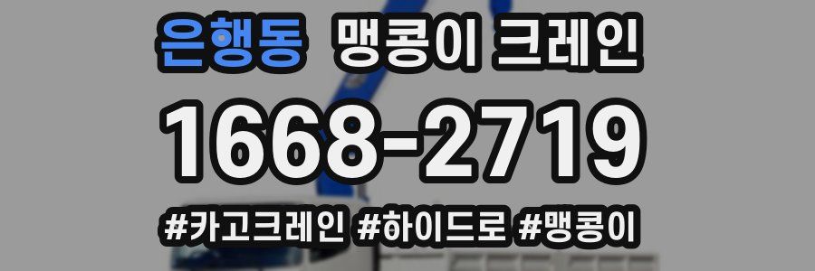 은행동 맹콩이 크레인