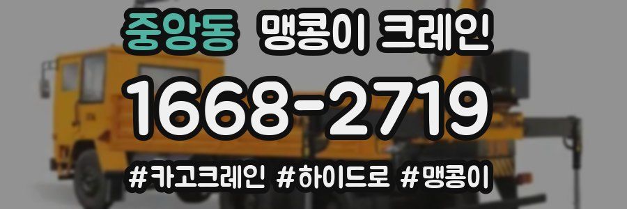 중앙동 맹콩이 크레인
