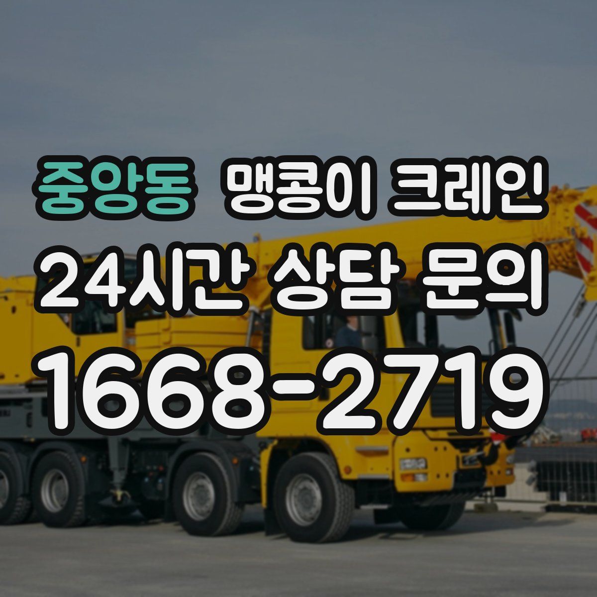 중앙동 맹콩이 크레인