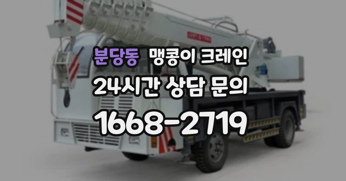 분당동 맹콩이 크레인