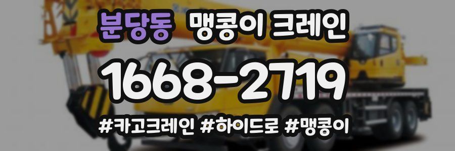 분당동 맹콩이 크레인
