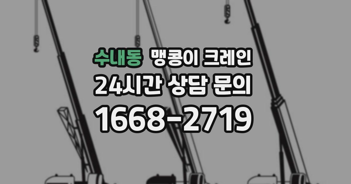 수내동 맹콩이 크레인