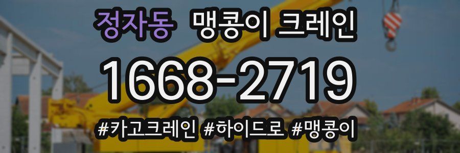 정자동 맹콩이 크레인