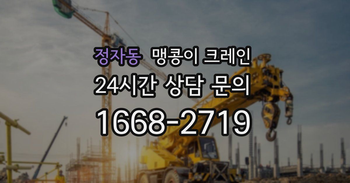 정자동 맹콩이 크레인